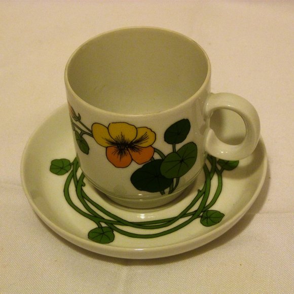 Thomas Rosenthal Cup and Saucer Set Made in Germany Scandic Nasturtium Pattern - Picture 2 of 8
